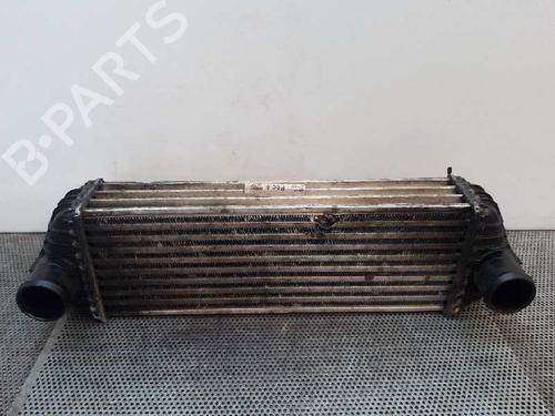 Used Intercooler FORD TOURNEO CONNECT 1.8 TDCi (90 hp) 3031401