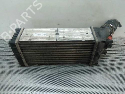 Intercooler Intercooler CITROËN BERLINGO / BERLINGO FIRST MPV (MF_, GJK_, GFK_) 1.6 HDI 75 (MF9HW, GJ9HWC, GF9HWC, GN9HWC) (75 hp) 1206399 1206399