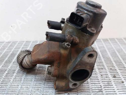 Egr NISSAN CABSTAR (F23, H41, H42)  | BP12313082M69