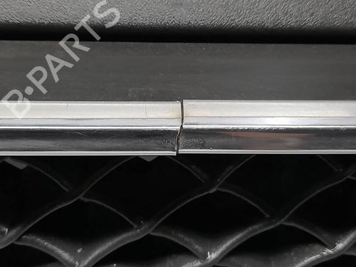 Grille FORD FOCUS C-MAX (DM2)  | BP22274562C40 