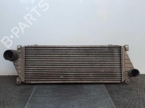Used Intercooler Intercooler 1019300 1019300