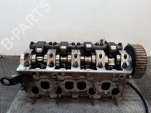 Used Cylinder head SEAT IBIZA III (6L1) [2002-2009]  10974163
