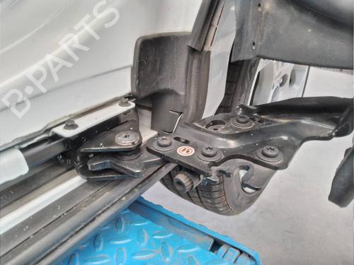 Used Hinge/Door check strap FORD B-MAX (JK) 1.0 EcoBoost (100 hp) 14042304