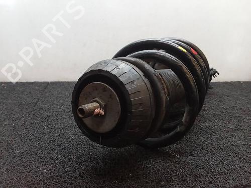 Right front shock absorber MERCEDES-BENZ VITO / MIXTO Van (W639) 111 CDI (639.601, 639.603) | BP9449009M17 
