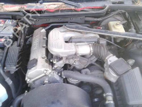 - Image 6