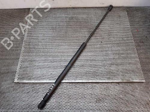 Used Hood lift support SEAT TOLEDO II (1M2) 1.9 TDI (110 hp) 14036647
