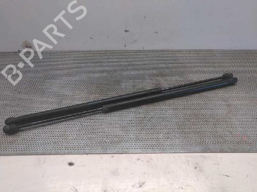 Tailgate lift support FORD FIESTA V (JH_, JD_) 1.4 TDCi | BP14034037C138 