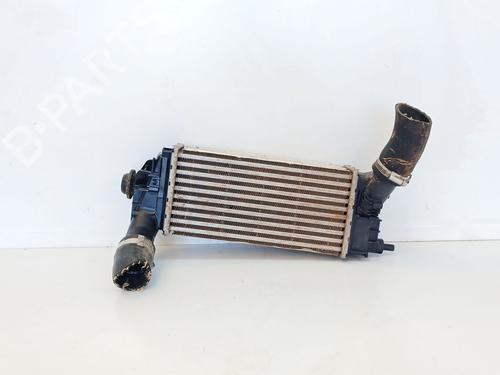 Intercooler Intercooler FORD PUMA (J2K, CF7) 1.0 EcoBoost mHEV (125 hp) 36987729 36987729