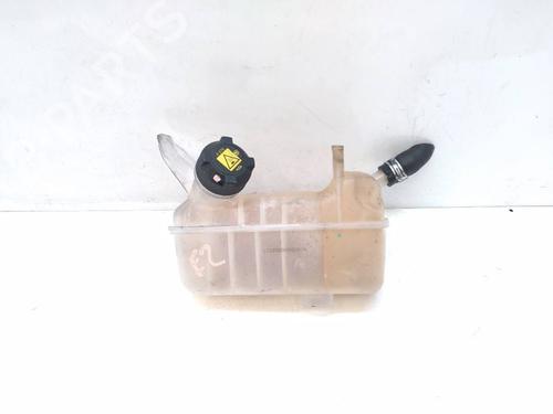 Ekspansjonstank RENAULT MEGANE II Saloon (LM0/1_) [2003-2025]  17558090