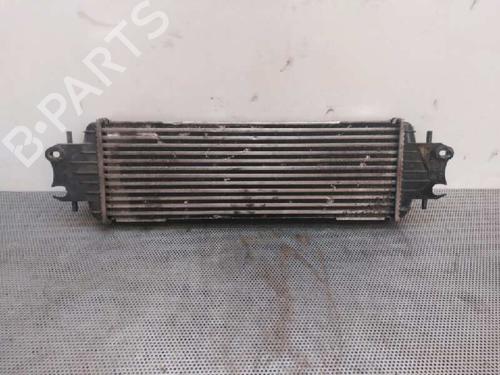 Intercooler RENAULT TRAFIC II Van (FL) | BP1858910M30 - Image 2