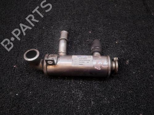 Used Egr Egr CITROËN C5 II (RC_) [2004-2008] 14043619 14043619