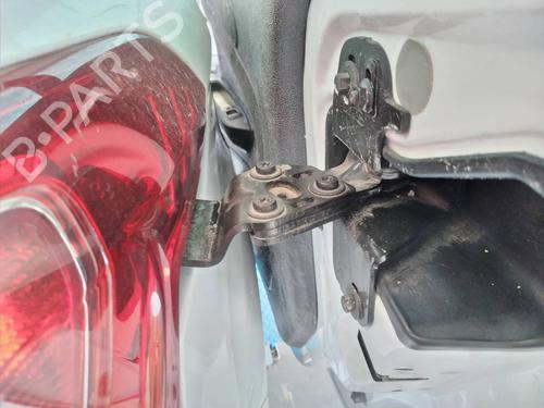 Hinge/Door check strap FORD B-MAX (JK) 1.0 EcoBoost | BP14042303C146 