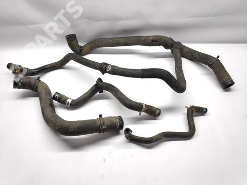 Water radiator RENAULT CLIO III (BR0/1, CR0/1) 1.2 16V | BP10722998M31