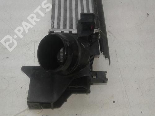 Intercooler LAND ROVER RANGE ROVER SPORT I (L320) 3.0 D 4x4 4779586 | B ...