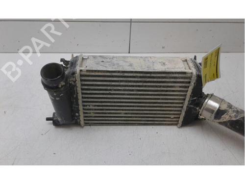 Intercooler NISSAN MICRA V (K14) 1.0 IG-T 100 | BP29606433M30 