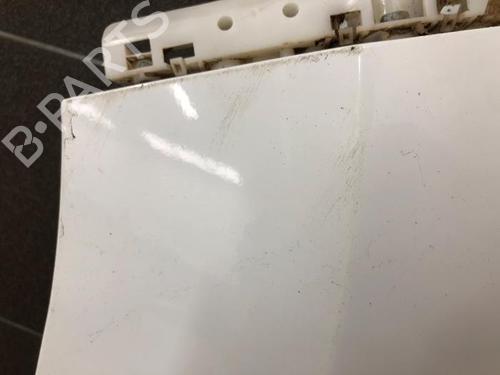 Left front fenders NISSAN NV200 Van 1.5 dCi 90 (M20, M20N, M20M) | BP29930357C41