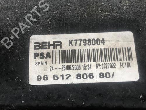 Intercooler PEUGEOT 207 (WA_, WC_) 1.6 16V Turbo | BP31319367M30 