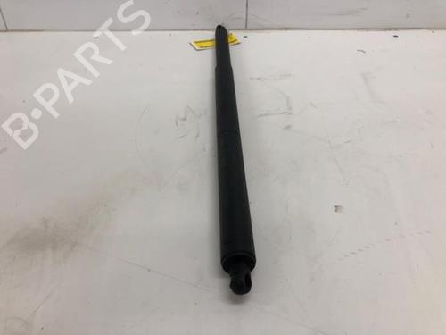 Tailgate lift support MERCEDES-BENZ GLA-CLASS (X156) GLA 220 CDI / d (156.903) | BP27170701C138 