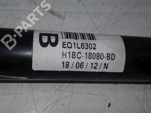 Left rear shock absorber FORD FIESTA VII (HJ, HF) 1.0 EcoBoost | BP9099433M18 