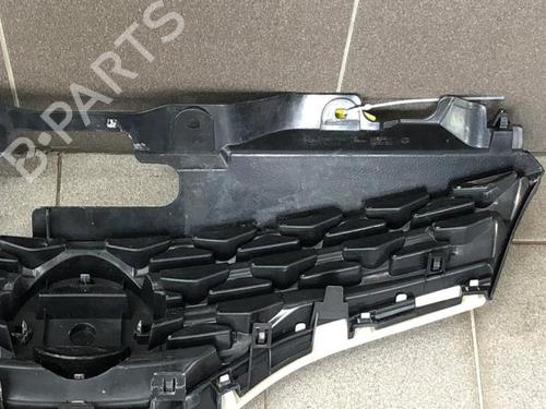 Grill NISSAN NV200 Van 1.5 dCi 90 (M20, M20N, M20M) | BP31319013C40