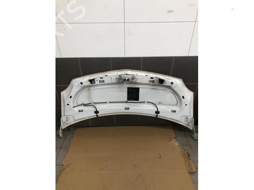Hood RENAULT KANGOO Express (FW0/1_) 1.5 dCi 75 (FW07, FW10, FW04) | BP20639941C1 