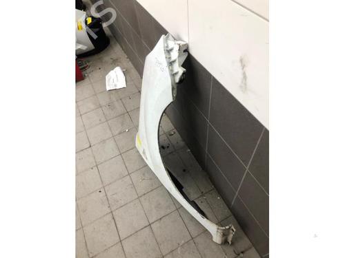 Right front fenders RENAULT KANGOO Express (FW0/1_) Z.E. (FW0Z, FW1Z) | BP31319139C42