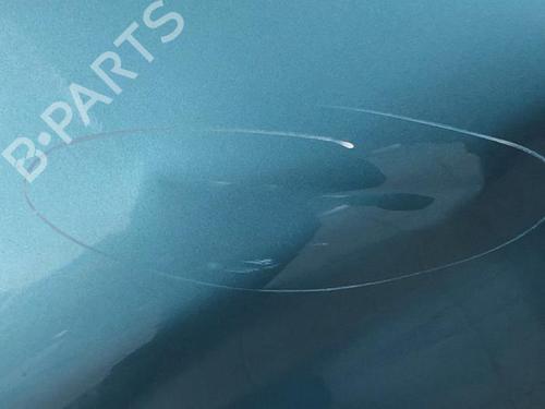 Left rear door RENAULT ZOE Hatchback Van (BFM_) Electric (BFMC, BFMD) | BP30159604C4 