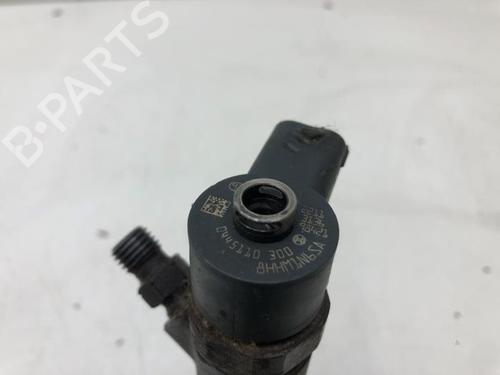 Injector FIAT BRAVO II (198_) 1.6 D Multijet (198AXM1B) | BP25820153M100