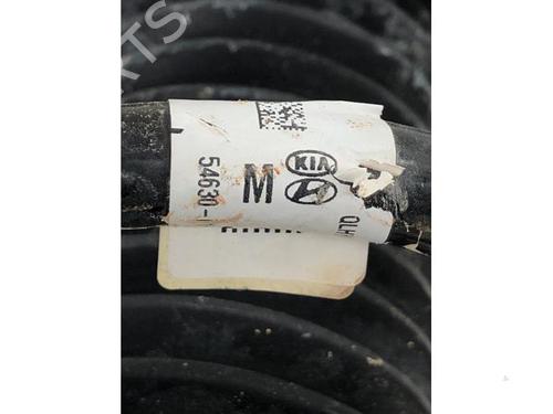 Used Right front shock absorber KIA SPORTAGE IV (QL, QLE) 1.6 GDI (132 hp) 31318914