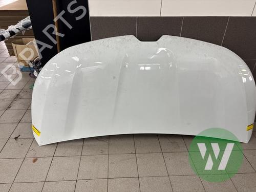 Used Hood Hood RENAULT TRAFIC III Van (FG_) 2.0 dCi 130 (FGMY) (131 hp) 40537453 40537453