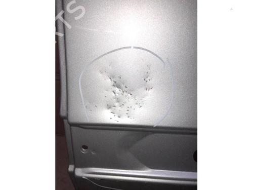 Left rear door MERCEDES-BENZ E-CLASS T-Model (S211) E 220 T CDI | BP21761459C4 