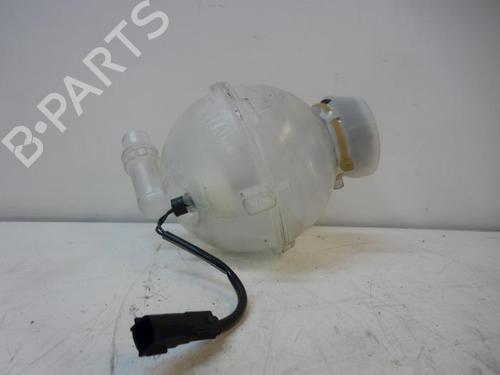 Expansion tank NISSAN BASSARA (JU30) 2.5 | BP19540753C120