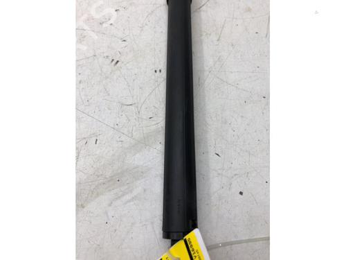 Tailgate lift support MERCEDES-BENZ EQV (W447) EQV 300 (447.813, 447.815) | BP15955817C138
