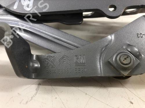 Hinge/Door check strap OPEL GRANDLAND / GRANDLAND X (A18, P1UO) 1.6 Turbo Hybrid | BP29517236C146 