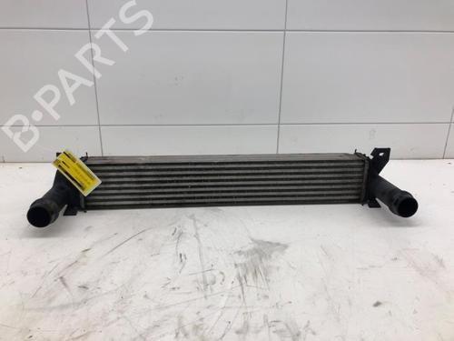 Ladeluftkühler für JEEP CHEROKEE (KL) 2.2 CRD 4x4 (200 hp) 31319203