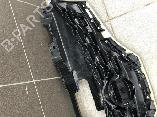 Grille NISSAN NV200 Van 1.5 dCi 90 (M20, M20N, M20M) | BP31318993C40 