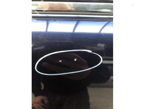 Left rear door MERCEDES-BENZ S-CLASS (W220) S 400 CDI (220.028, 220.128) | BP22628416C4 