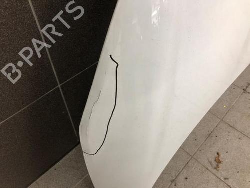 Hood RENAULT ZOE Hatchback Van (BFM_) Electric (BFMF) | BP30384940C1