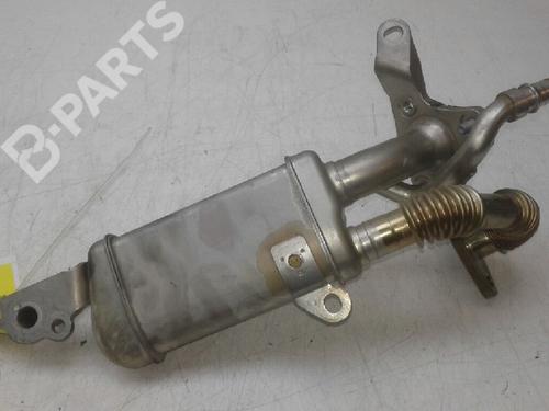 Egr RENAULT KANGOO / GRAND KANGOO II (KW0/1_) 1.5 dCi 90 (KW05, KW08, KW0G, KW11) | BP4776317M69