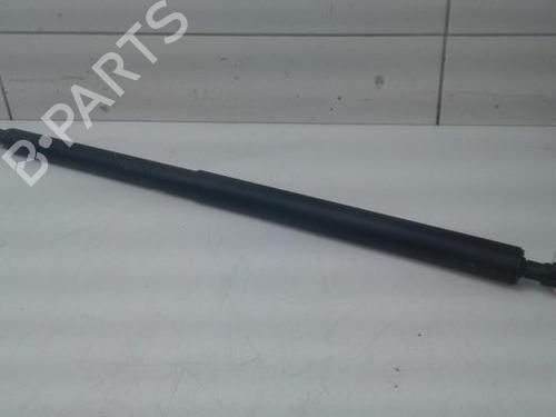 Tailgate lift support MERCEDES-BENZ EQV (W447) EQV 300 (447.813, 447.815) | BP14574869C138