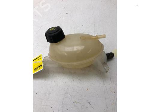 Used Expansion tank DACIA SANDERO II TCe 90 (B8M1, B8MA, B8AC) (90 hp) 16118051