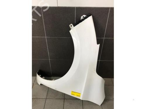 Used Left front fenders HYUNDAI i20 I (PB, PBT) 1.2 (86 hp) 18355082