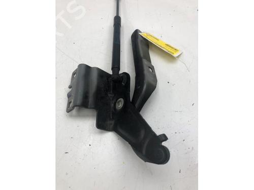 Hinge/Door check strap RENAULT TALISMAN Grandtour (KP_) 1.8 TCe 225 (KPM1) | BP20639953C146 