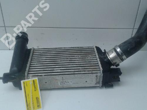 Used Intercooler NISSAN MICRA V (K14) 1.5 DCI (90 hp) 7796866