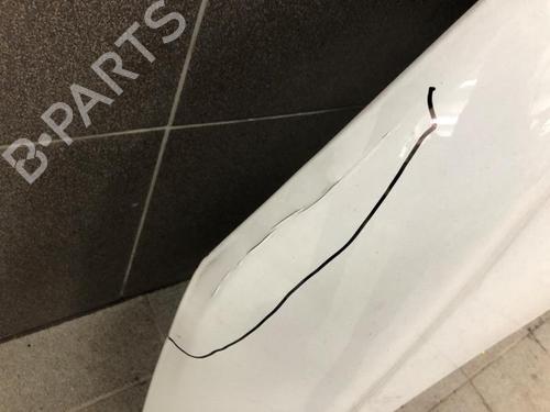 Hood RENAULT ZOE Hatchback Van (BFM_) Electric (BFMF) | BP30384940C1