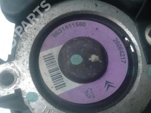Steering pump PEUGEOT 206 Hatchback (2A/C) 1.4 i | BP10009940M99 