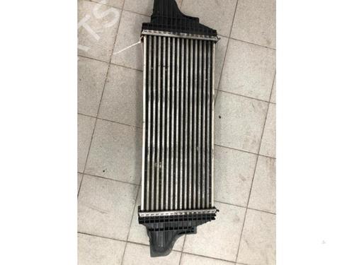 Intercooler MERCEDES-BENZ M-CLASS (W164) ML 320 CDI 4-matic (164.122) | BP19099487M30 