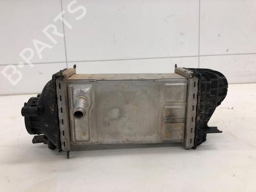 Used Intercooler SKODA KAMIQ (NW4) 1.0 TSI (110 hp) 28304132