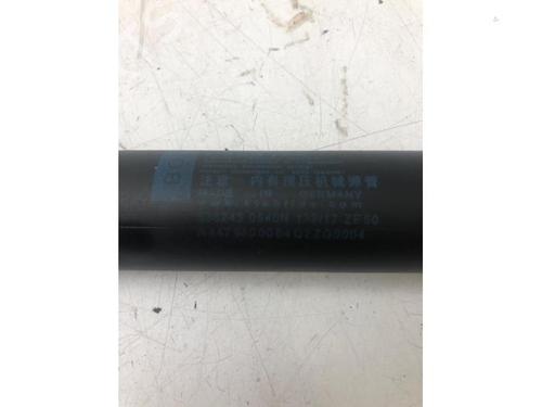 Tailgate lift support MERCEDES-BENZ EQV (W447) EQV 300 (447.813, 447.815) | BP15635542C138 