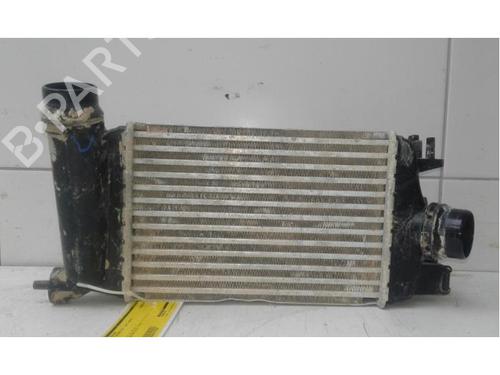 Intercooler NISSAN MICRA V (K14) 1.0 IG-T 100 | BP29606435M30